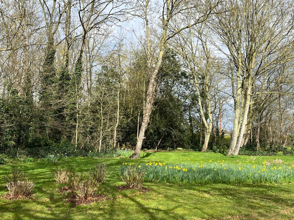 The Mulberry At Langford Hall Apartment Newark-on-Trent (Nottinghamshire)